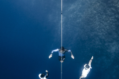 performance_freediving_KV_website-7